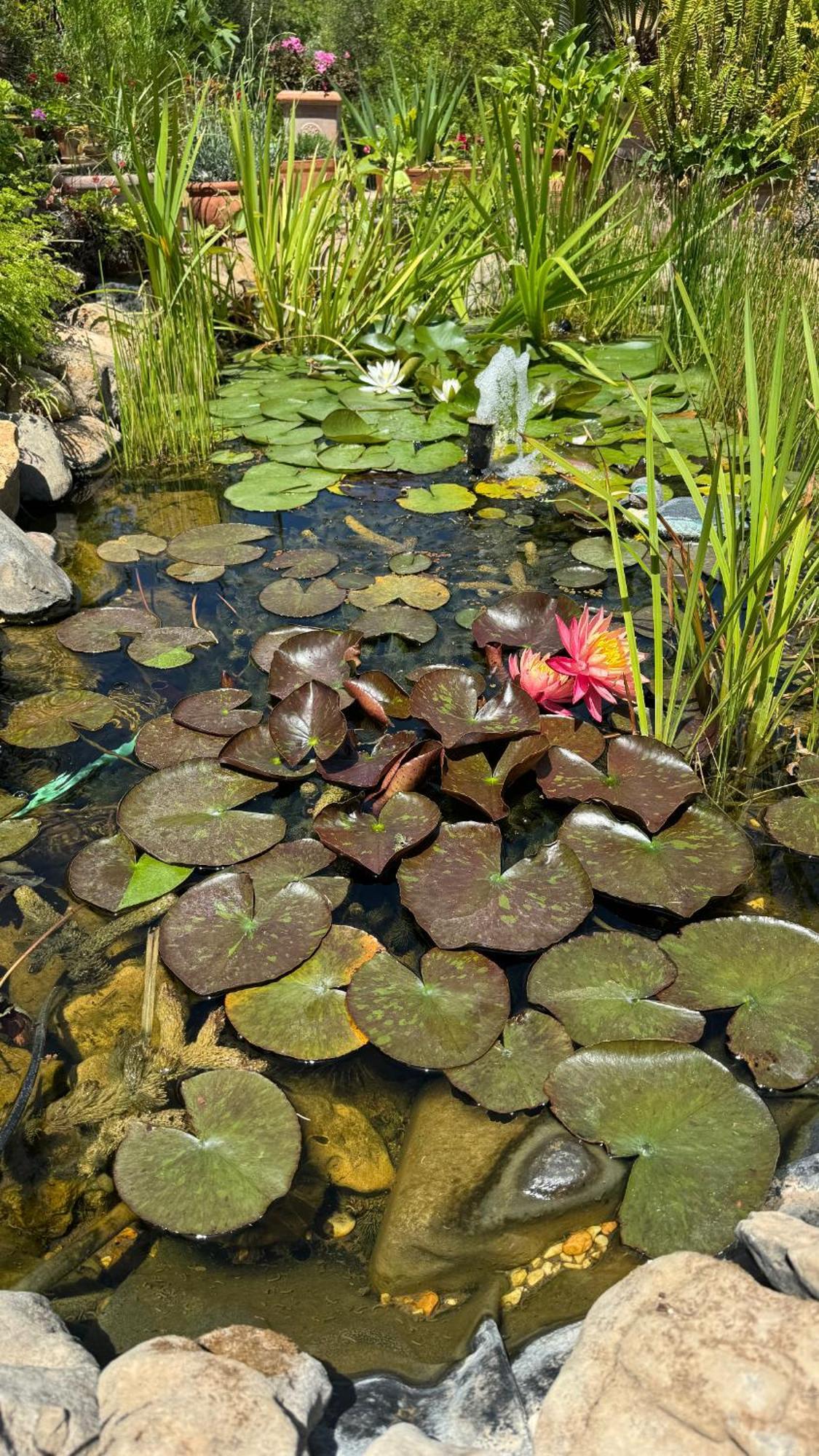 Villa Dei Fiori - Casa Vacanza Capoterra Eksteriør billede