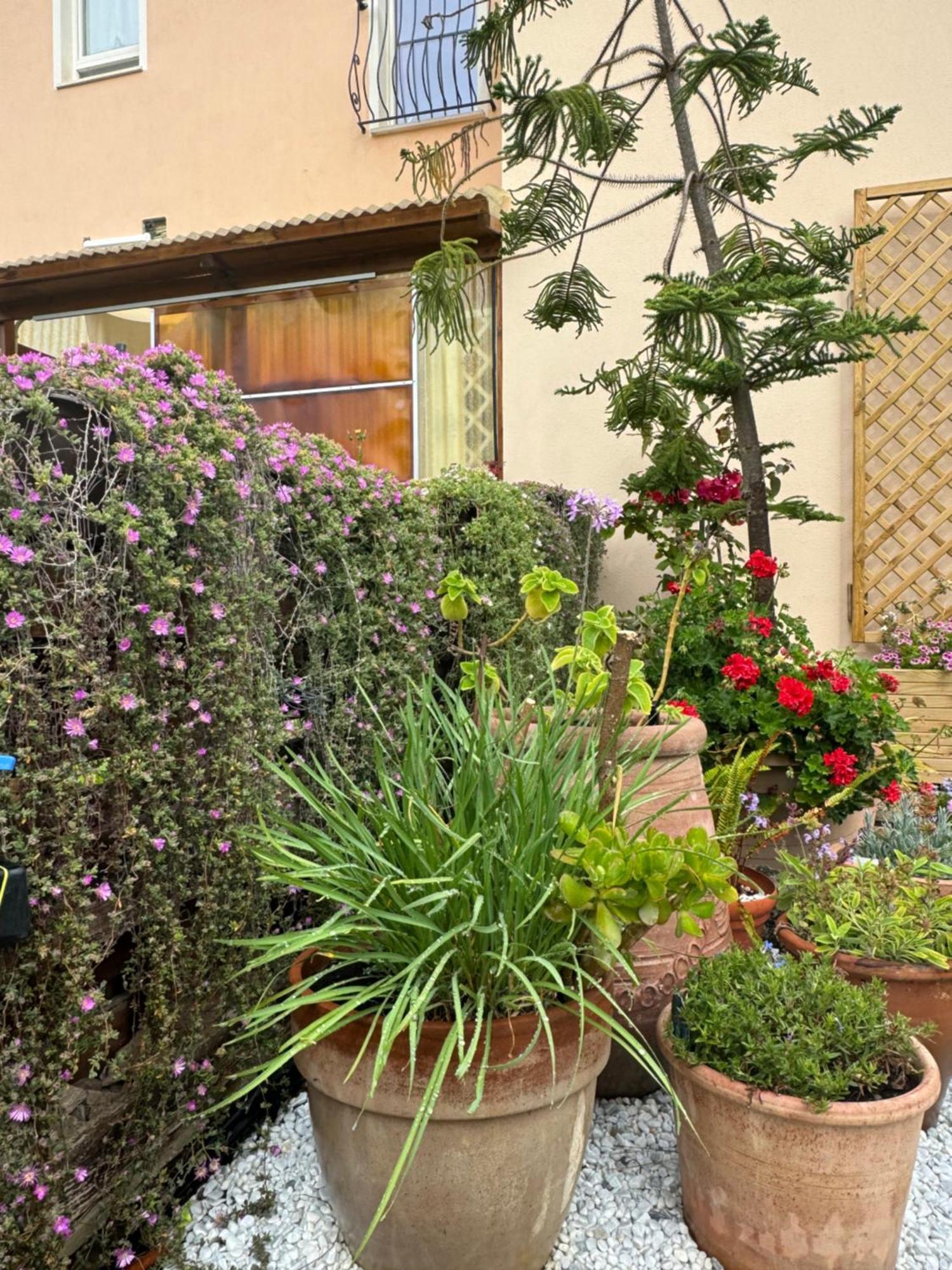 Villa Dei Fiori - Casa Vacanza Capoterra Eksteriør billede