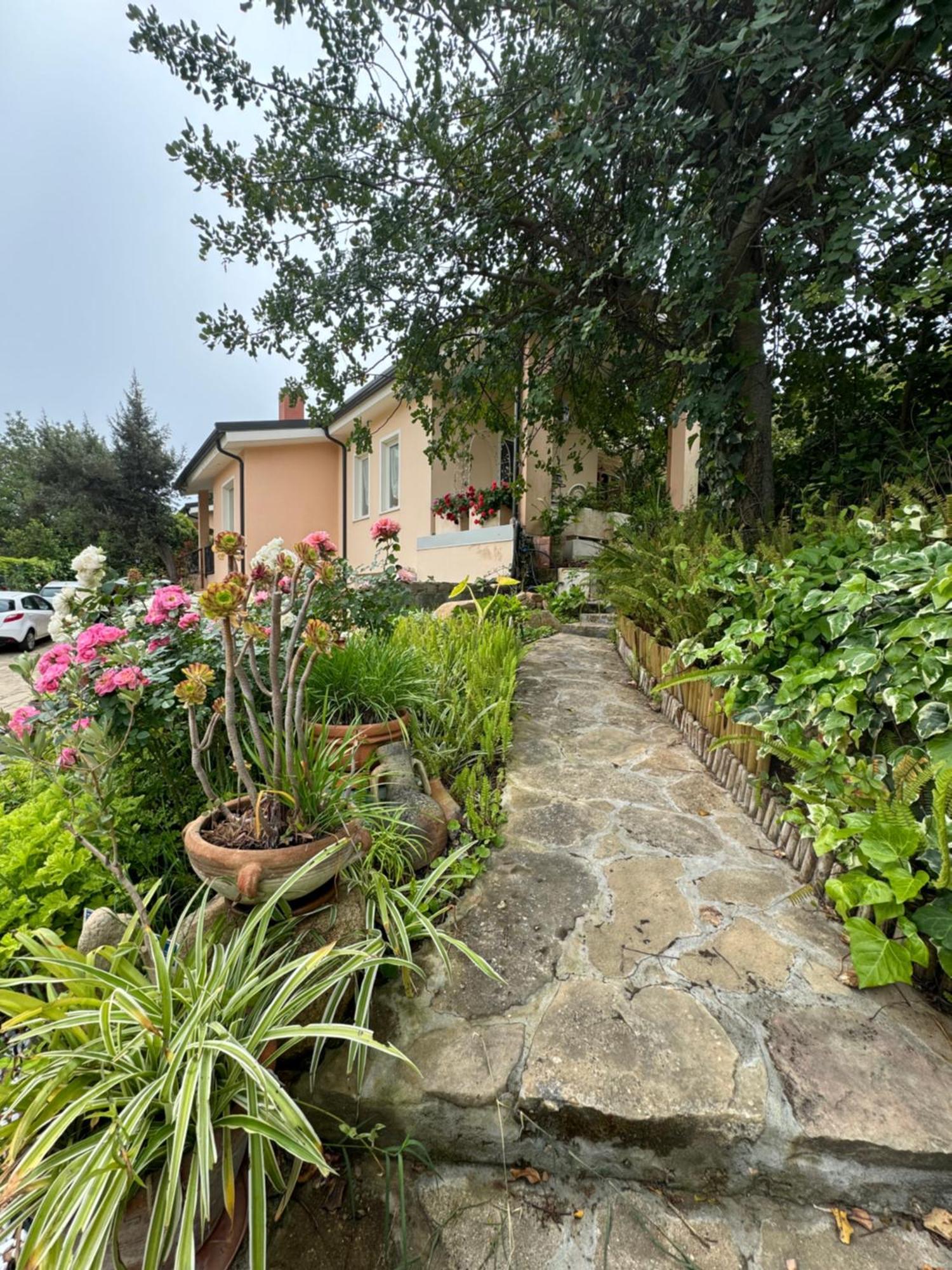 Villa Dei Fiori - Casa Vacanza Capoterra Eksteriør billede
