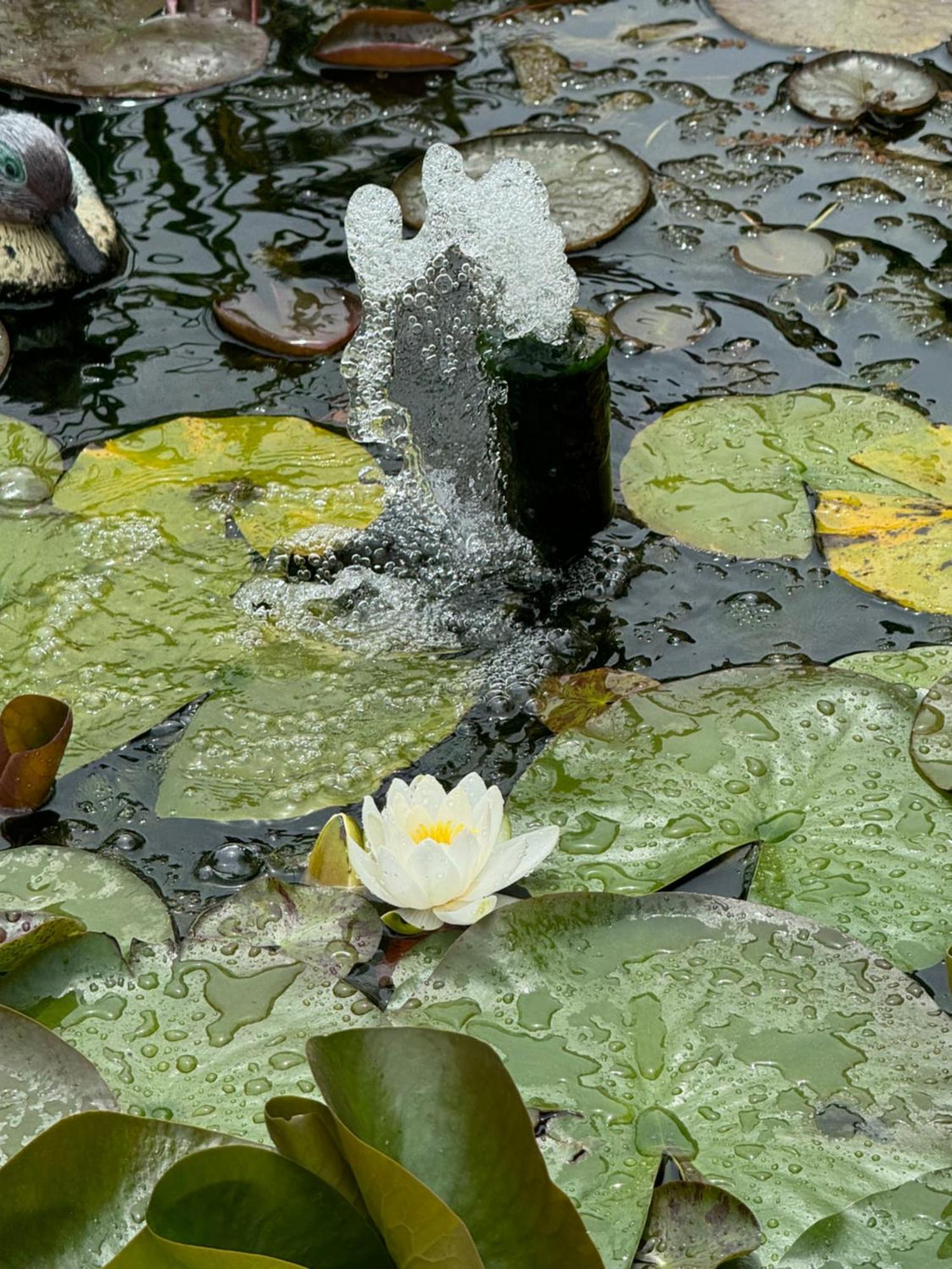 Villa Dei Fiori - Casa Vacanza Capoterra Eksteriør billede